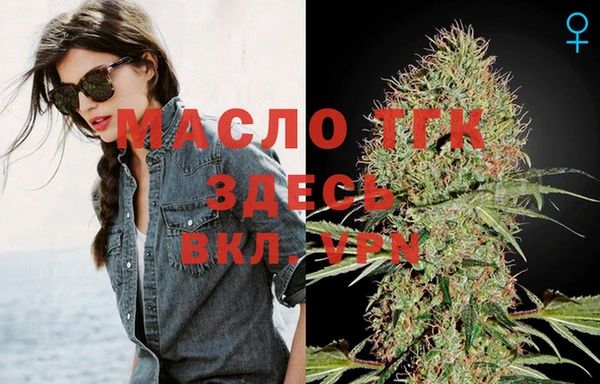 мяу мяу мука Кодинск