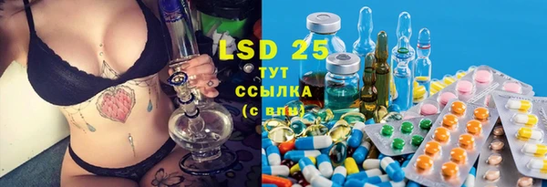 стафф Аркадак