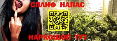 гидропоника Будённовск