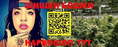 гидропоника Будённовск