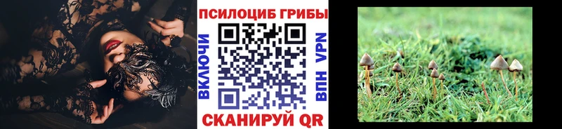 kraken онион  как найти закладки  Гулькевичи  Галлюциногенные грибы MAGIC MUSHROOMS 