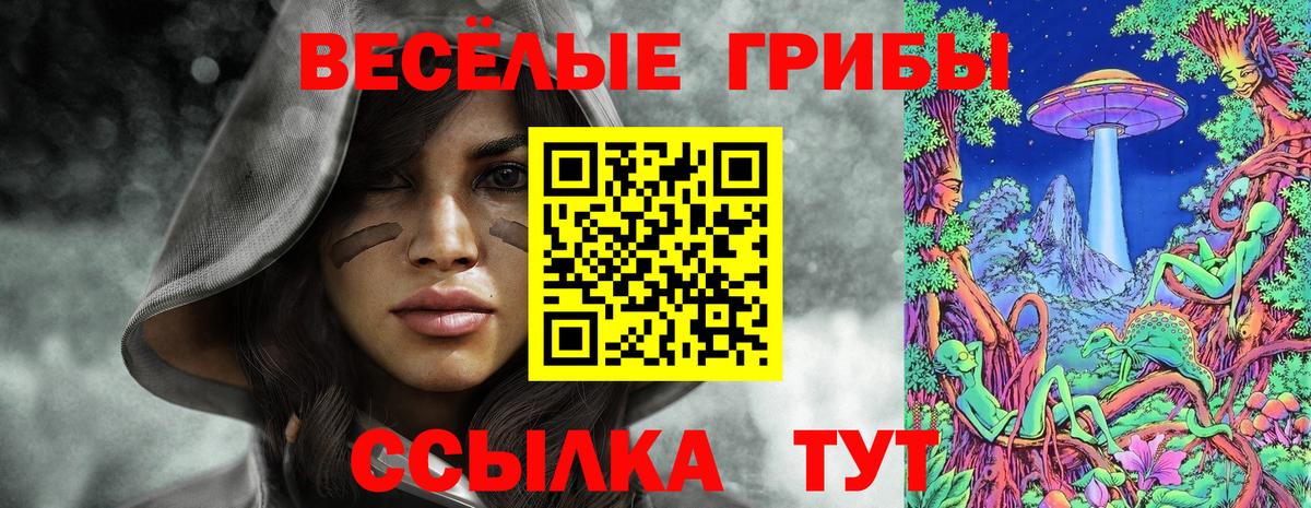 Галлюциногенные грибы прущие грибы  Гулькевичи 