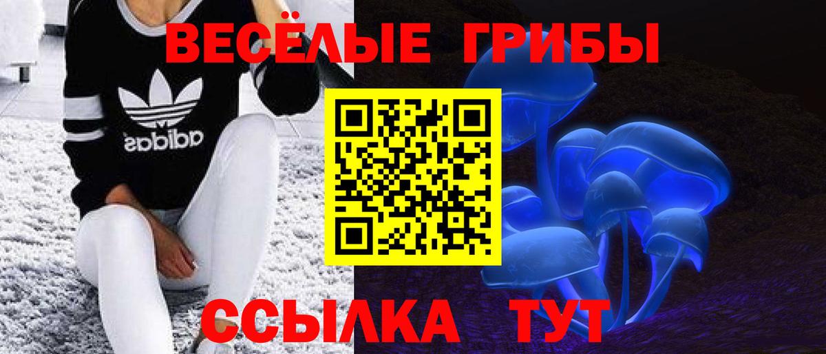 Псилоцибиновые грибы мицелий Гулькевичи