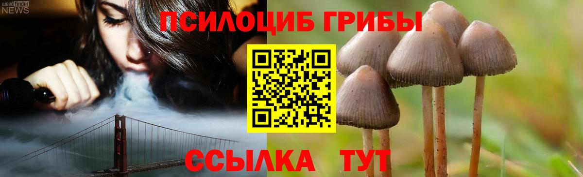 Галлюциногенные грибы мухоморы  Псилоцибиновые грибы GOLDEN TEACHER  Вход с VPN  Гулькевичи 
